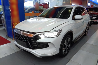 比亚迪 宋Pro新能源 2023款 冠军版 DM-i 110KM卓越型