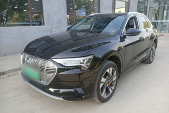 奥迪e-tron(进口) 2019款 55 quattro 技术型