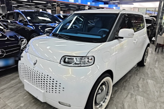 欧拉白猫 2022款 升级版 305km 豪华型 三元锂