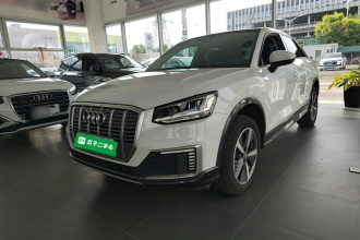 奥迪Q2L e-tron 2019款 Q2L e-tron 纯电智享型