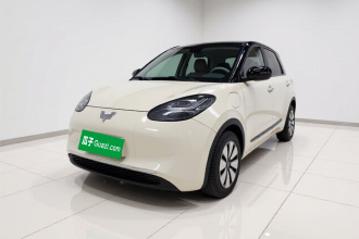五菱汽车 五菱缤果 2024款 333km 悦享款