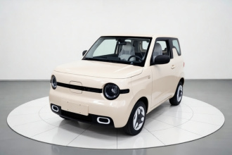 吉利银河 2025款 熊猫mini 210km 元气熊