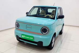 吉利银河 2024款 熊猫mini 200km 耐力熊