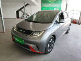 比亚迪 海豚 2021款 405km 自由版