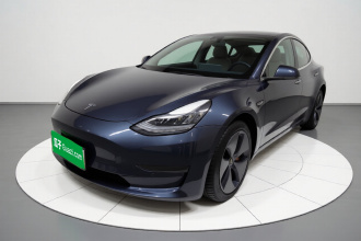 特斯拉 Model 3 2019款 标准续航后驱升级版