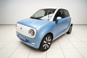 欧拉黑猫 2021款 351km 豪华型