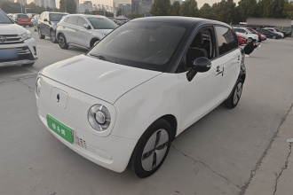 欧拉黑猫 2021款 301km 基础型