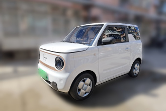 吉利银河 2024款 熊猫mini 200km 耐力熊