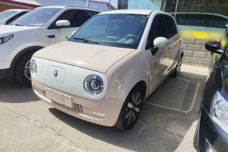 欧拉黑猫 2021款 351km 标准型