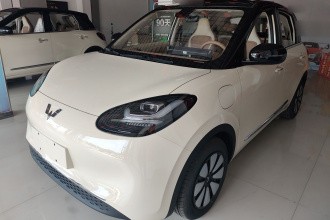 五菱汽车 五菱缤果 2025款 333km 悦享款