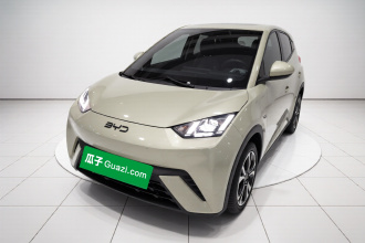 比亚迪 海鸥 2024款 荣耀版 305km 自由版