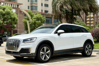 奥迪Q2L e-tron 2019款 Q2L e-tron 纯电智享型