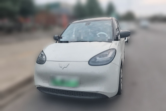 五菱汽车 五菱缤果 2023款 333km 灵犀互联+款