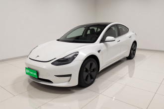 特斯拉 Model 3 2020款 标准续航后驱升级版
