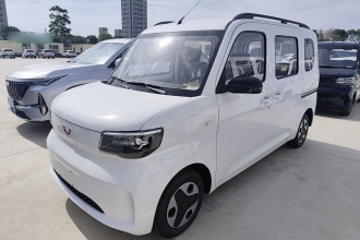 五菱汽车 五菱之光新能源 2025款 305km 进取型