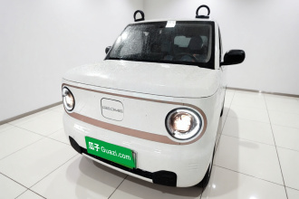 吉利银河 2024款 熊猫mini 200km 耐力熊