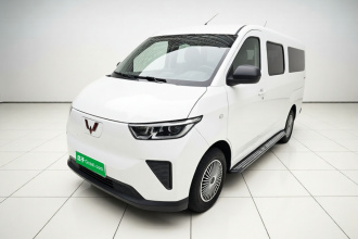 五菱汽车 五菱扬光 2024款 300km 舒适型客车版 60kW