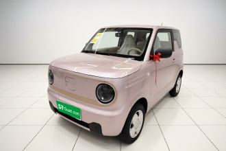 吉利银河 2024款 熊猫mini 200km 耐力熊