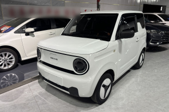 吉利银河 2023款 熊猫mini 200km 耐力熊
