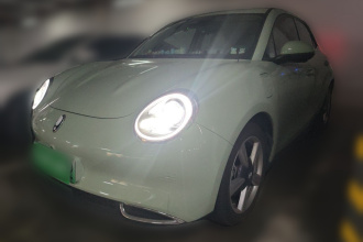 欧拉好猫 2023款 401km标准续航 豪华型 磷酸铁锂