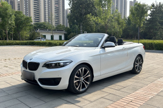 宝马2系(进口) 2019款 225i 敞篷轿跑车 运动设计套装
