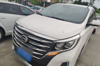 广汽传祺 传祺M8 2020款 领航款 390T 尊贵版