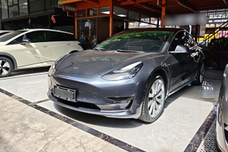 特斯拉 Model 3 2019款 标准续航后驱升级版