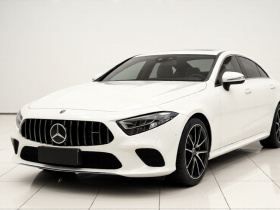 奔驰CLS 2018款 CLS 300 动感型