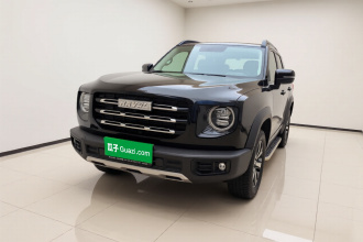 哈弗大狗 2022款 1.5T DCT两驱拉布拉多版