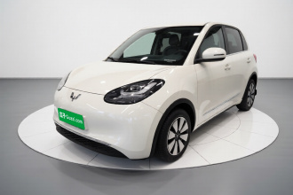 五菱汽车 五菱缤果 2023款 203km 舒享款