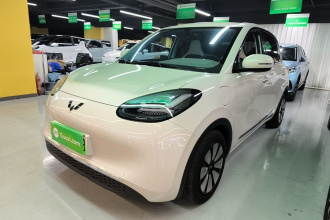 五菱汽车 五菱缤果 2024款 333km 悦享款