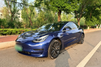 特斯拉 Model 3 2019款 标准续航后驱升级版