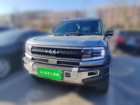 方程豹 豹5 2023款 领航版