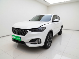 魏牌 VV6 2021款 2.0T 两驱智享+