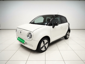 欧拉黑猫 2019款 301km 标准版