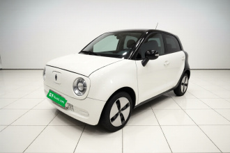 欧拉黑猫 2019款 301km 标准版