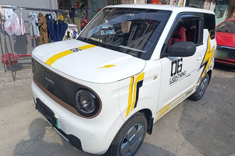 吉利银河 2024款 改款 熊猫mini 200km 龙腾版