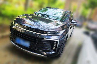 星途凌云 2021款 290T 两驱星耀版