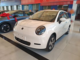 江淮钇为 钇为3 2024款 挚爱版 330km Lite