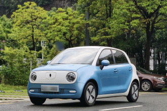 欧拉黑猫 2021款 301km 基础型
