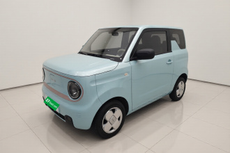 吉利银河 2023款 熊猫mini 200km 耐力熊