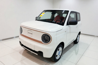 吉利银河 2024款 熊猫mini 200km 耐力熊