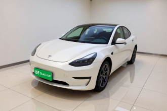 特斯拉 Model 3 2021款 改款 标准续航后驱升级版 3D1