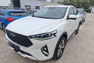 哈弗F7x 2019款 2.0T 两驱极智科技版