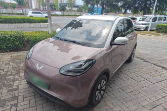五菱汽车 五菱缤果 2023款 333km 悦享+款