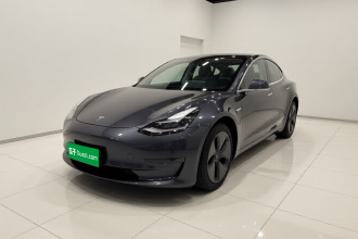特斯拉 Model 3 2020款 改款 长续航后轮驱动版