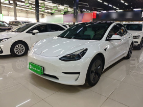 特斯拉 Model 3 2022款 后轮驱动版