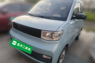 五菱汽车 宏光MINIEV 2020款 自在款 磷酸铁锂