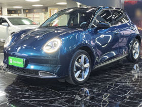 欧拉好猫 2021款 400km标准续航 维纳斯版 三元锂