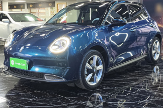 欧拉好猫 2021款 400km标准续航 维纳斯版 三元锂